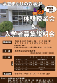 チラシ