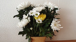 P8290001