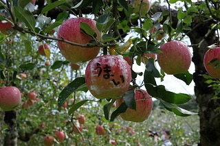 R0000125