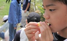 R0000173