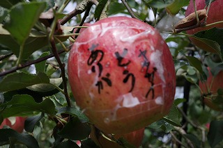 R0000126