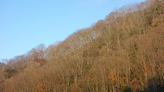 DSC06692