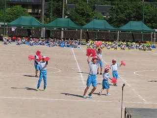 IMG_8998