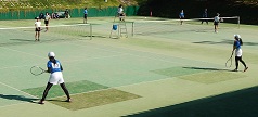 tennis 1