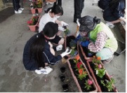 苗植え２