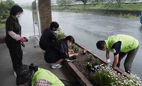 苗植え３