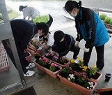 苗植え４