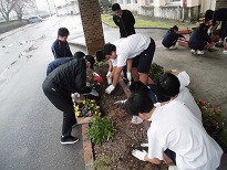 花の苗植え１