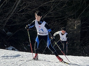 リースタイルふ