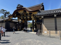 image2 (1)