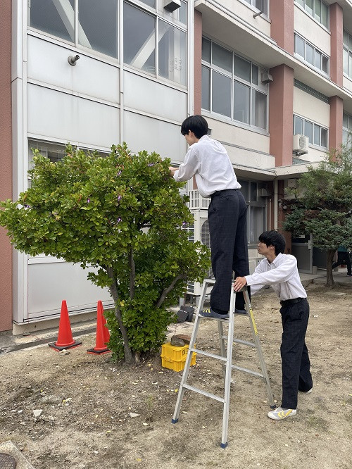 D3イルミネーション飾り