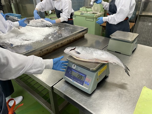 新巻鮭４