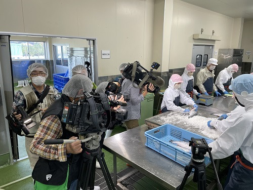 新巻鮭マスコミ2