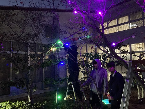 イルミネーション3