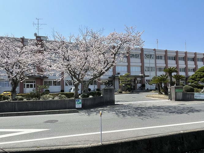 20250409_桜１