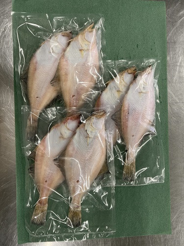 20250430_食品ビジネス科干物総合実習８