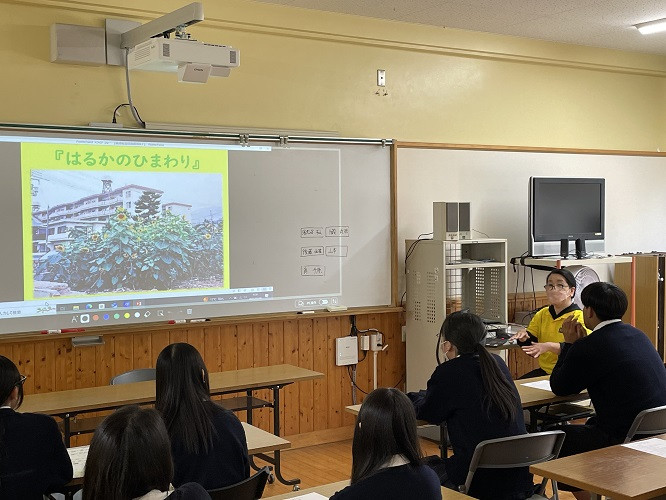 20250508_はるかのひまわりﾌﾟﾛｼﾞｪｸﾄ3
