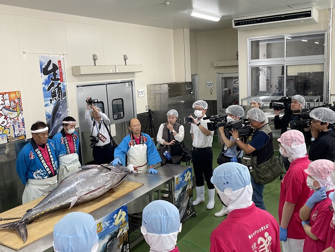 20250606_クロマグロ解体１