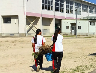 草運び