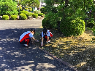 草取り