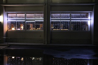 IMG_9087