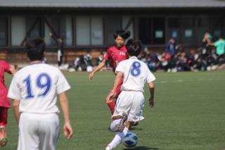 W320Q75_IMG_0712