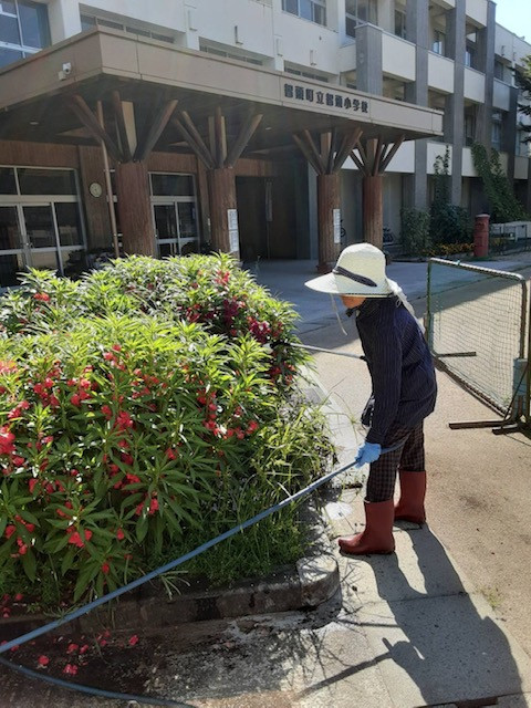 image1 (3)