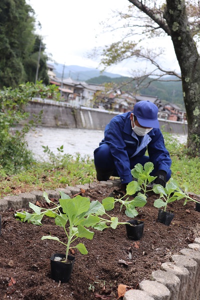 １H草花