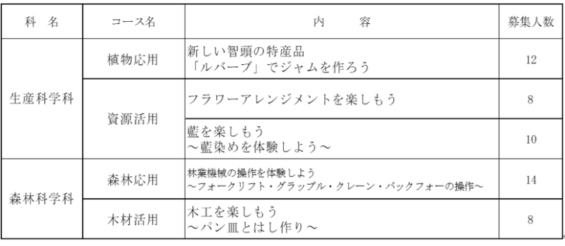 体験内容