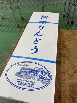 リンドウ3