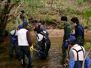ブラウントラウト①