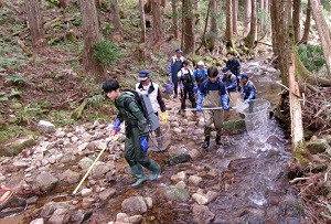 ブラウントラウト③