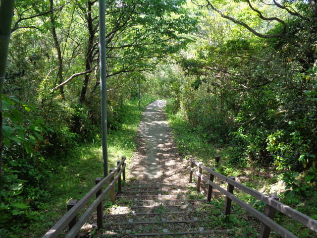 DSC04955
