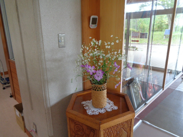 DSC05000