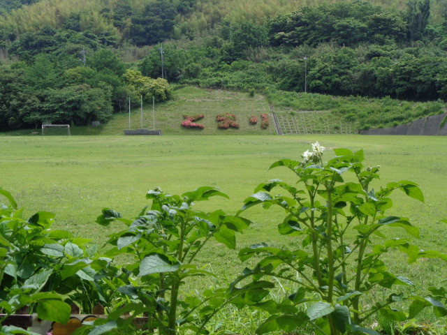 DSC05458