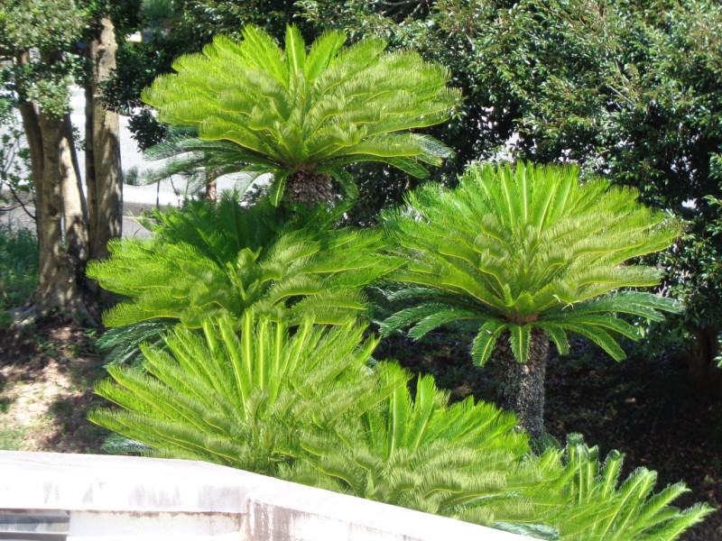 DSC00046