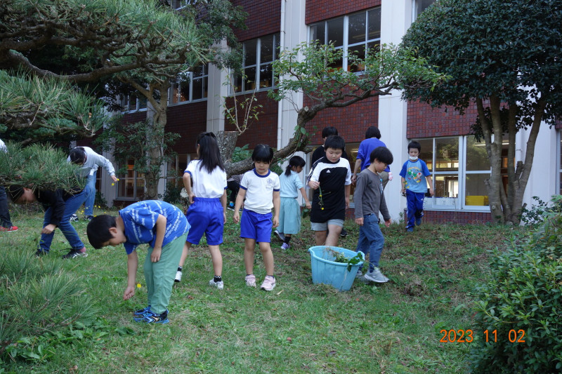 DSC01231