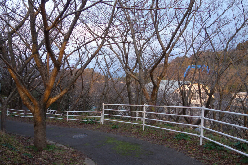 DSC01424