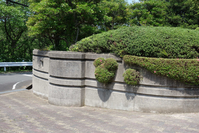 DSC02485