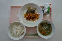 DSC02519