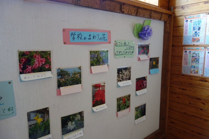 DSC02546