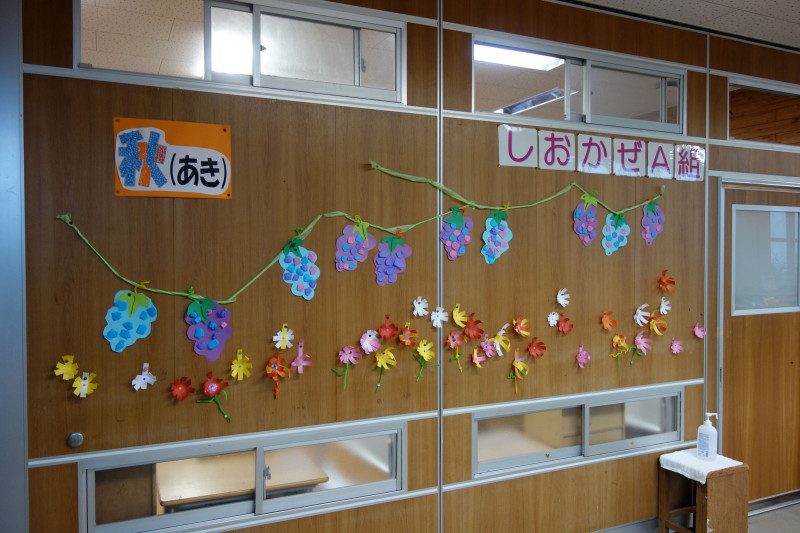 DSC03008