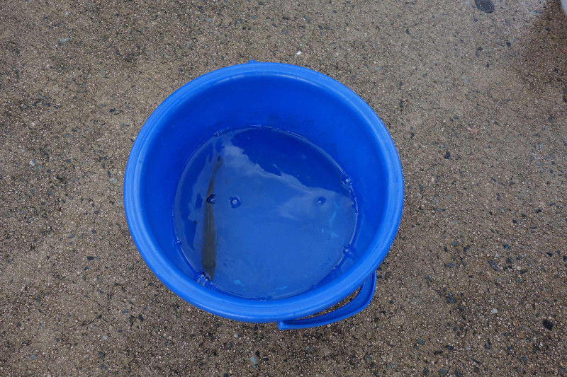 DSC03050