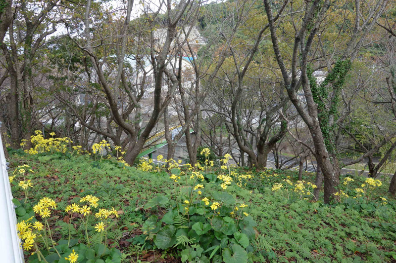 DSC03214