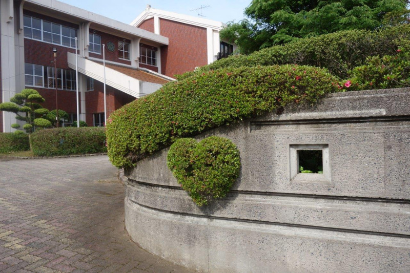 DSC04353