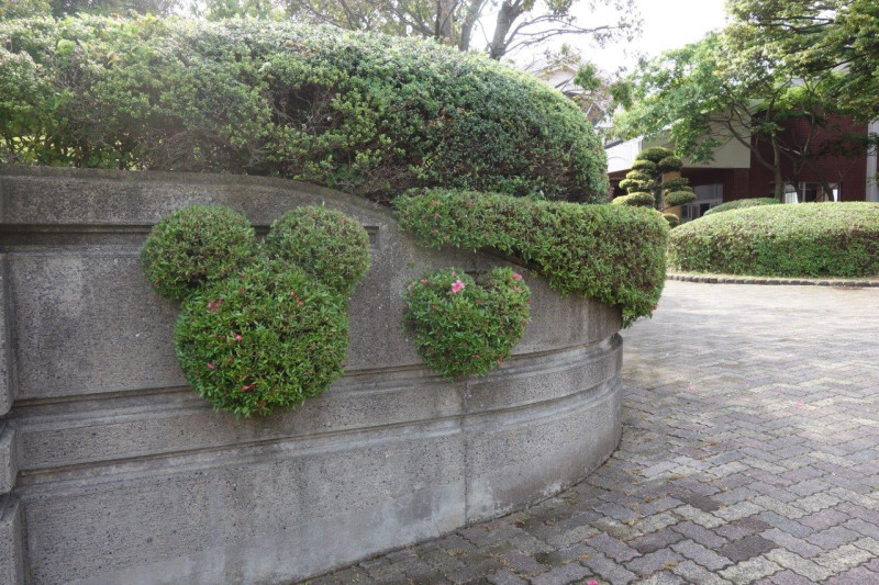 DSC04352