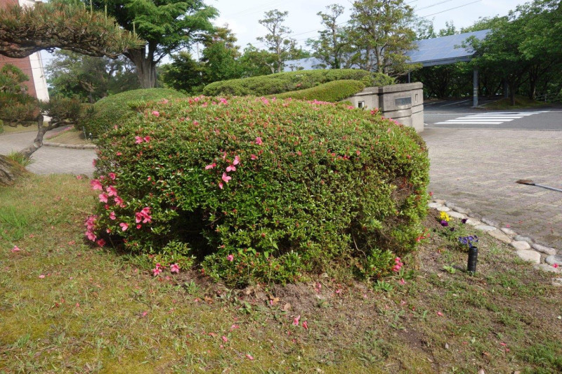 DSC04351