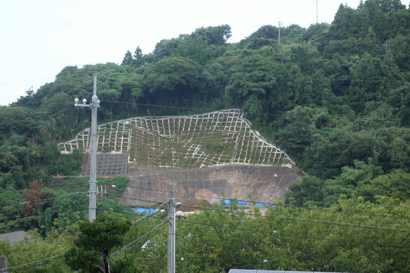 DSC04811