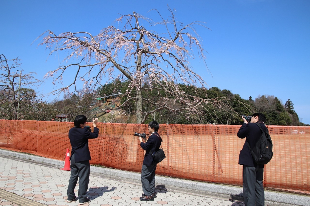 布勢での撮影