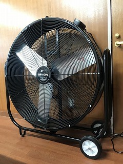 ビッグファン